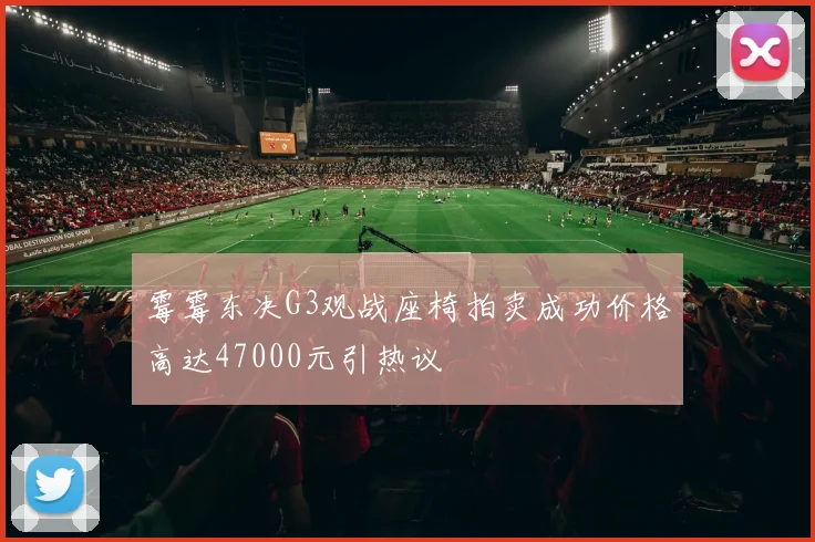 霉霉东决G3观战座椅拍卖成功价格高达47000元引热议